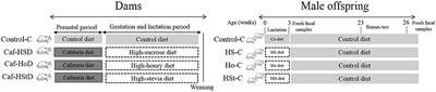 Maternal Sweeteners Intake Modulates Gut Microbiota and Exacerbates Learning and Memory Processes in Adult Male Offspring